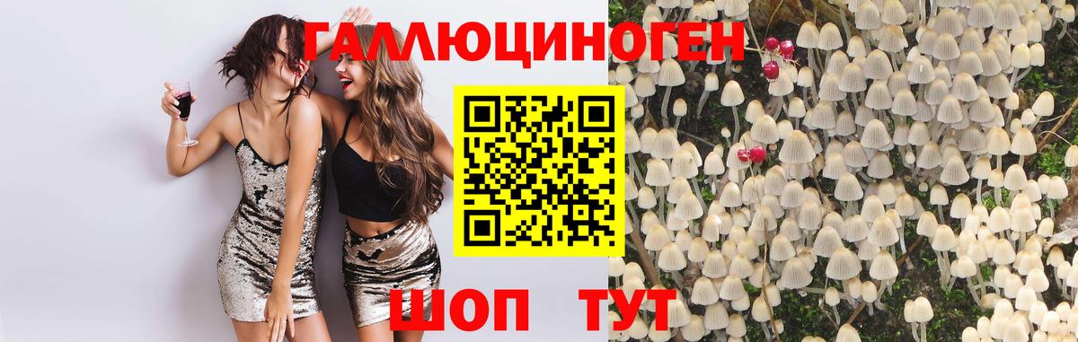 Псилоцибиновые грибы прущие грибы Вышний Волочёк