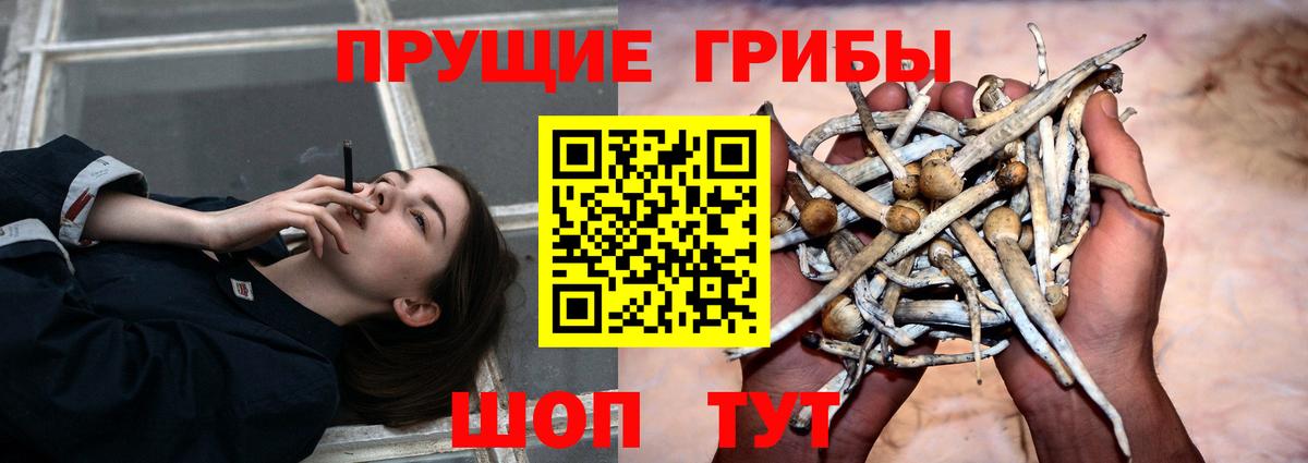Вышний Волочёк  Галлюциногенные грибы Magic Shrooms  Вход с VPN 